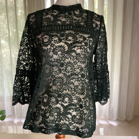 LOFT all lace tuniclike blouse,3/4 flared sleeve,high neck,pairw/cami,dk green,M - Picture 1 of 14